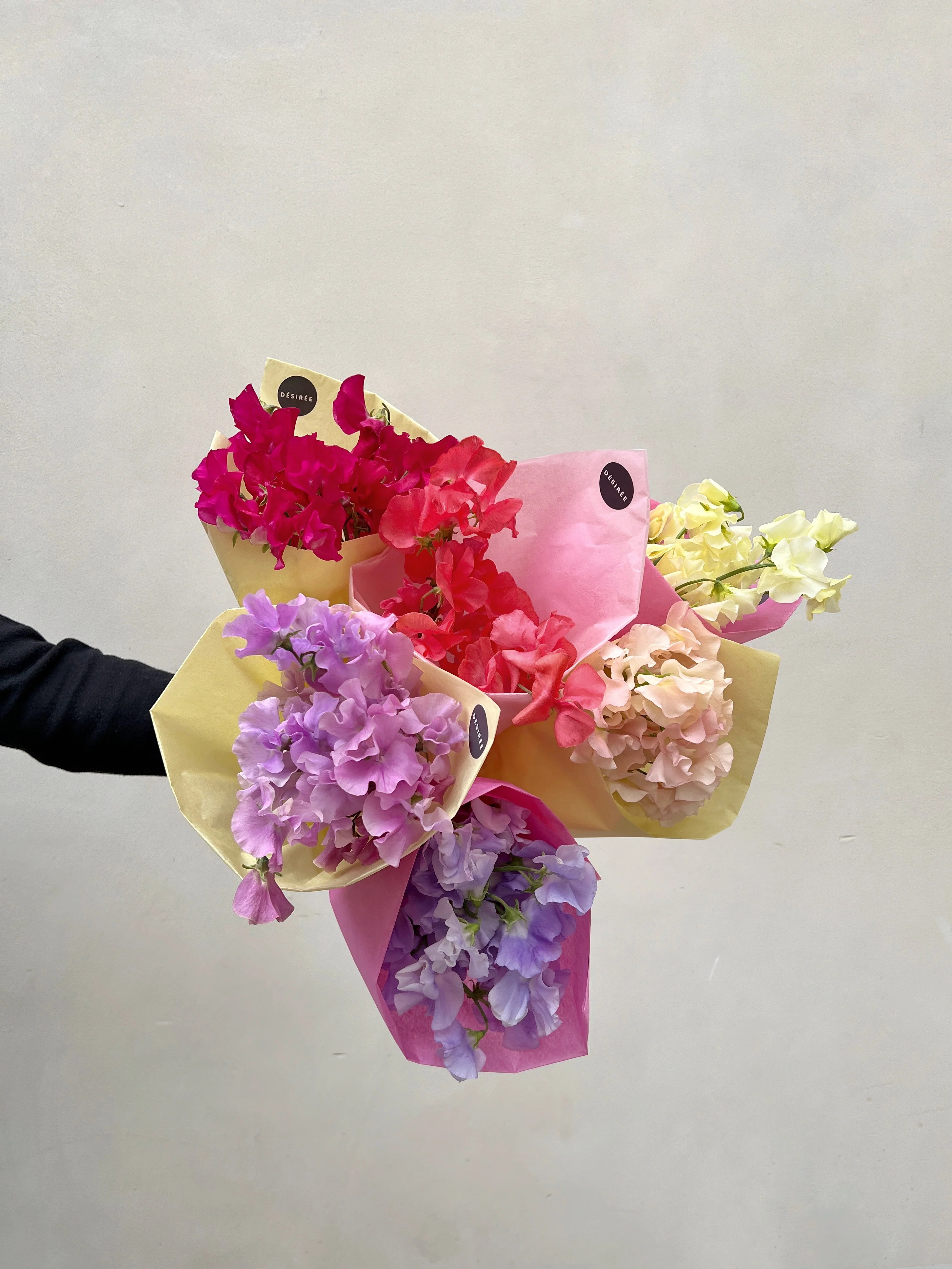 Abonnement botte - Image 7