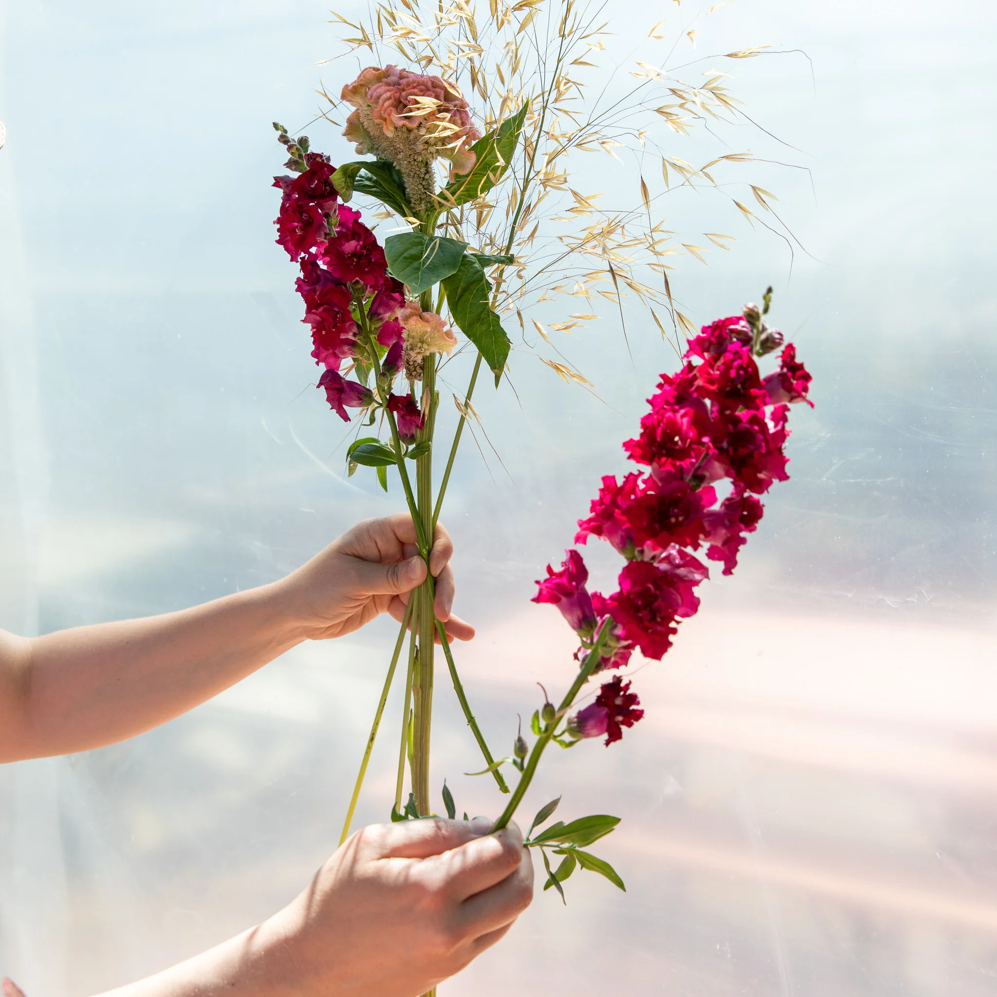 Désirée - le livre - Image 11