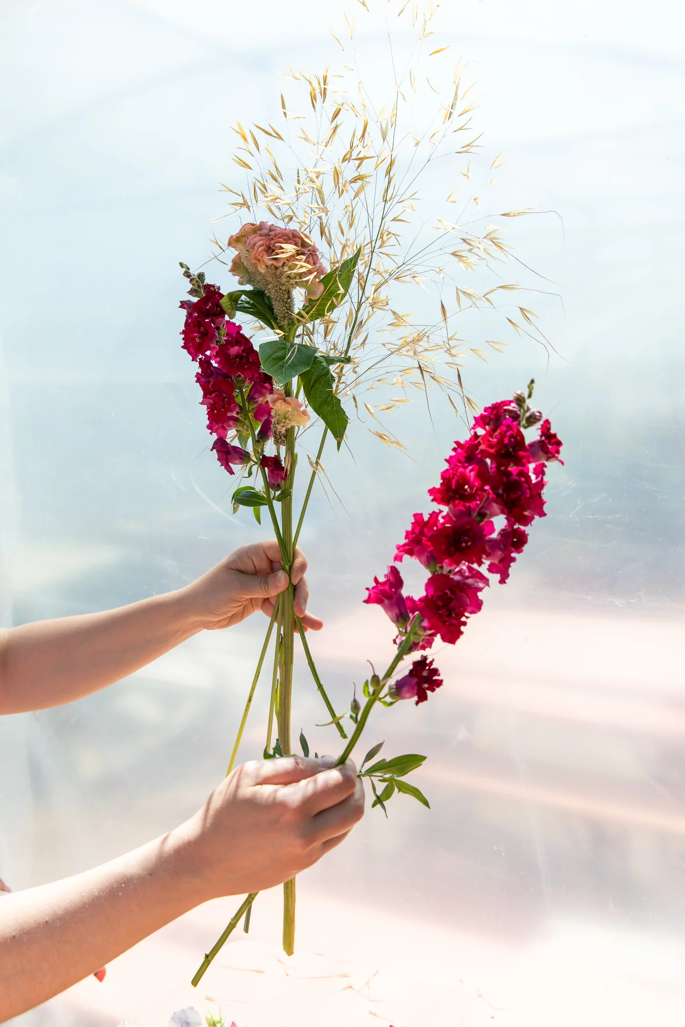 Désirée - le livre - Image 7