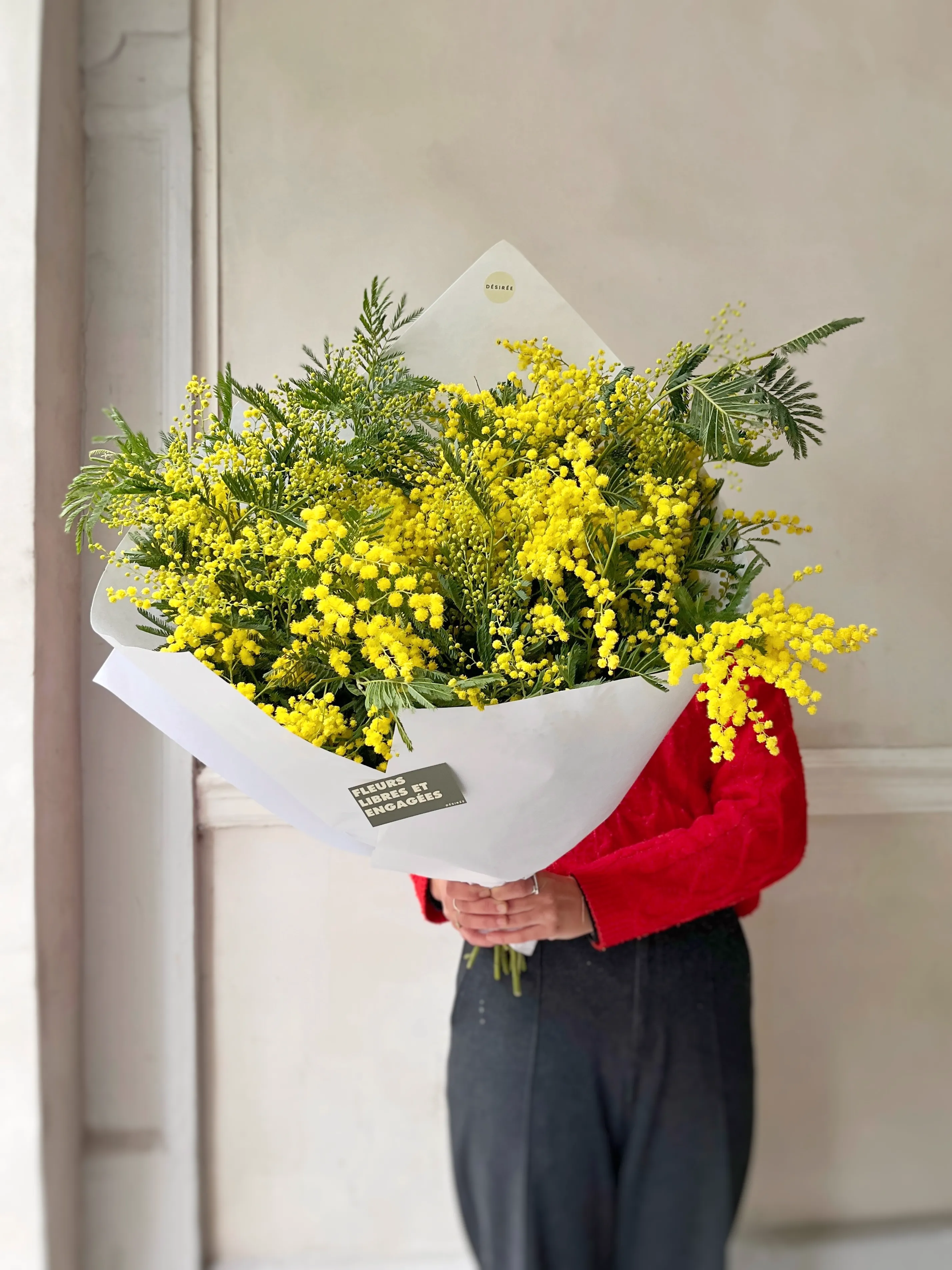 Giga Botte de mimosa - Image 3